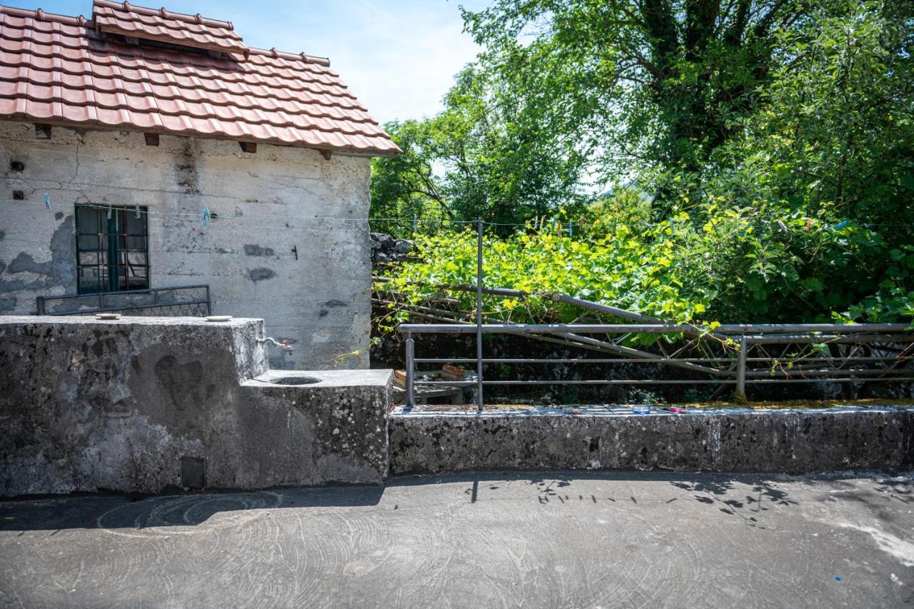 Guest House Gornji Ceklin 采蒂涅 外观 照片