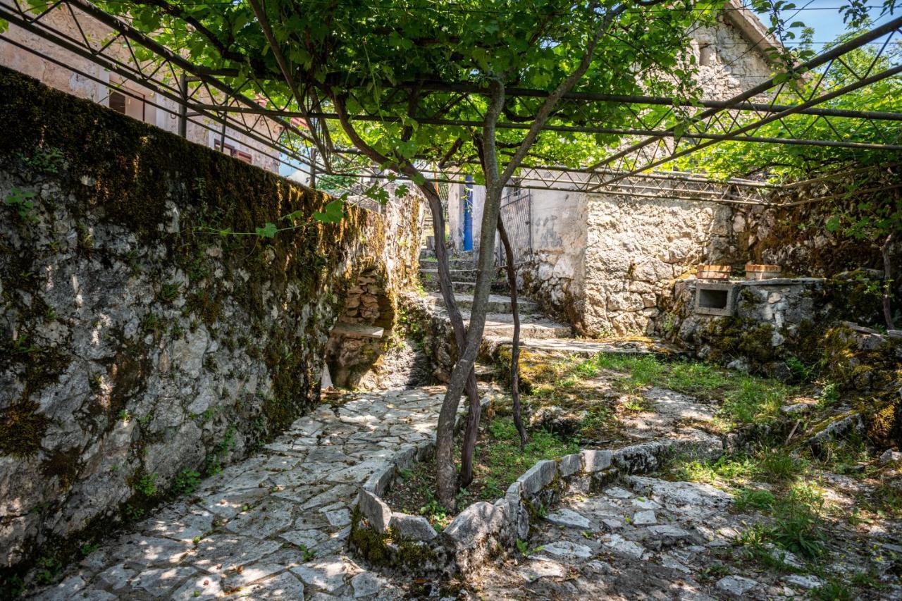 Guest House Gornji Ceklin 采蒂涅 外观 照片