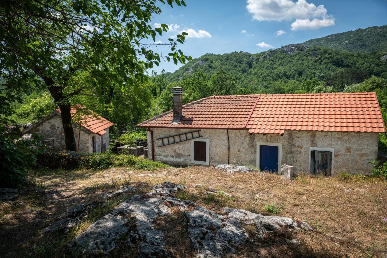 Guest House Gornji Ceklin 采蒂涅 外观 照片