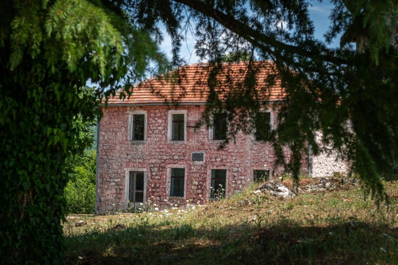 Guest House Gornji Ceklin 采蒂涅 外观 照片