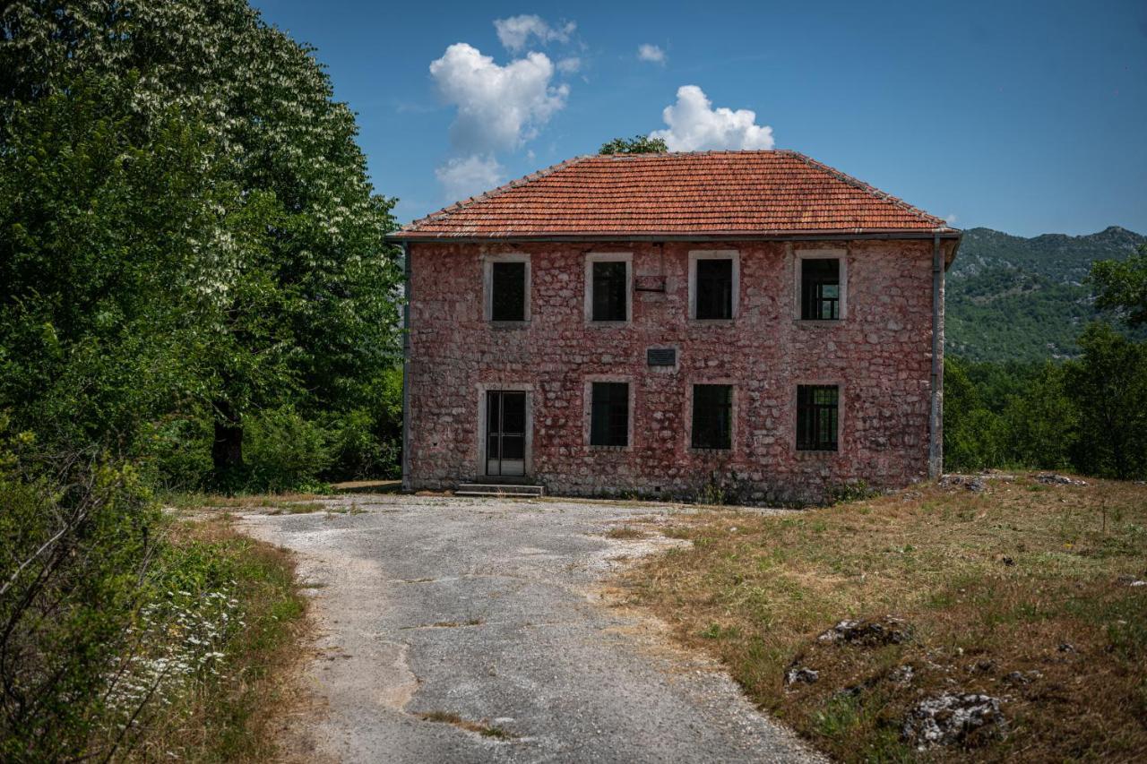Guest House Gornji Ceklin 采蒂涅 外观 照片
